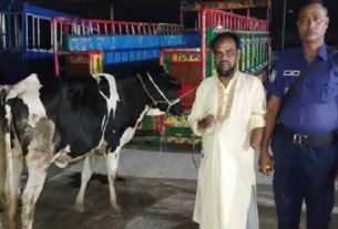 পাবনার কোমরপুরে চুরি হওয়া দুটি গরু উদ্ধারের ঘটনায় যুবদল কর্মী আটক