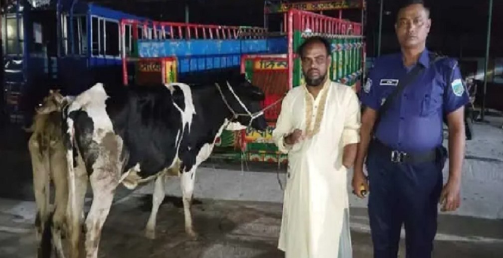 পাবনার কোমরপুরে চুরি হওয়া দুটি গরু উদ্ধারের ঘটনায় যুবদল কর্মী আটক